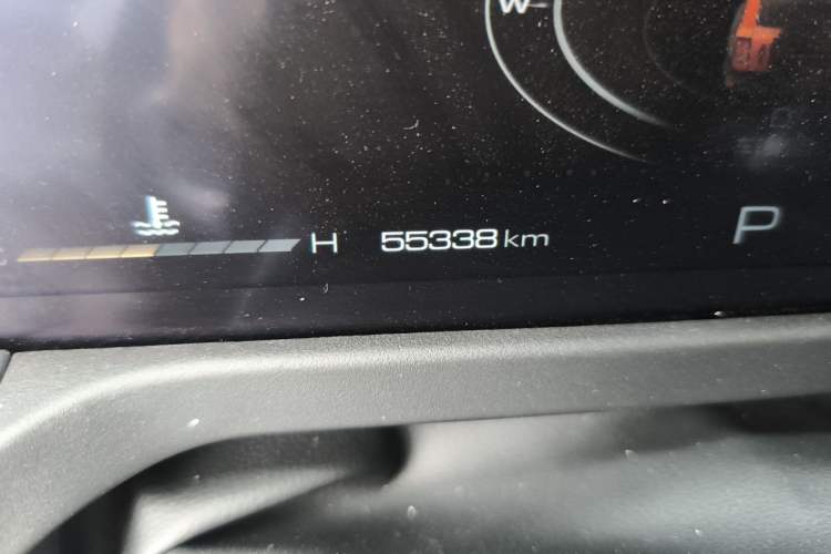 Used Tank 300 2021 Off-Road Edition 2.0T Conqueror Odometer Close Up