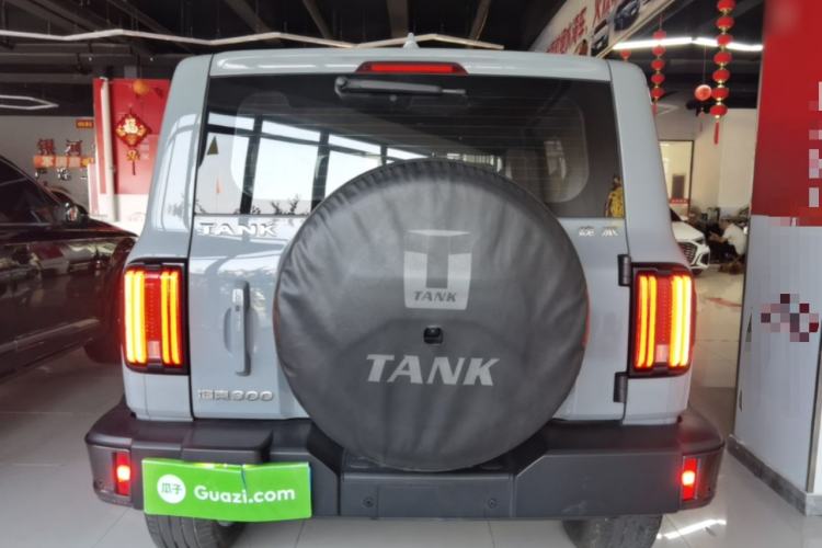 Used Tank 300 2021 City Edition 2.0T—Truly Stylish Rear