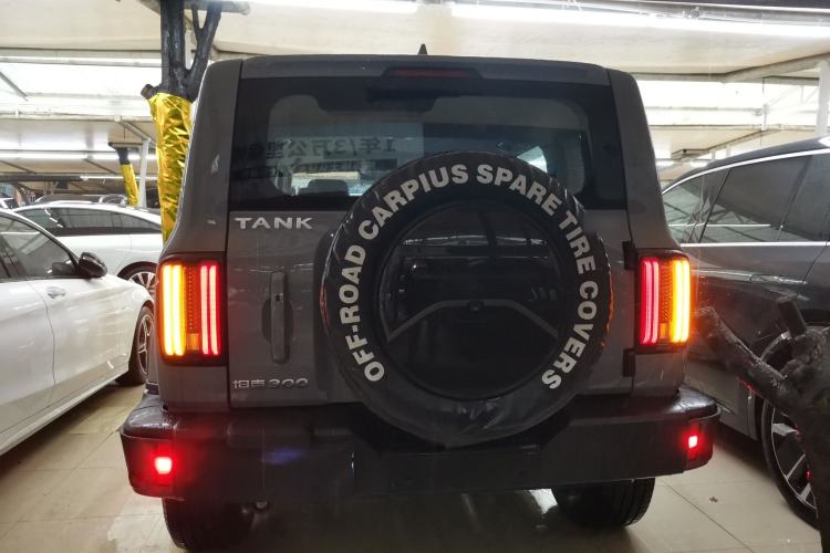 Used Tank 300 2021 City Edition 2.0T—Truly Stylish Rear