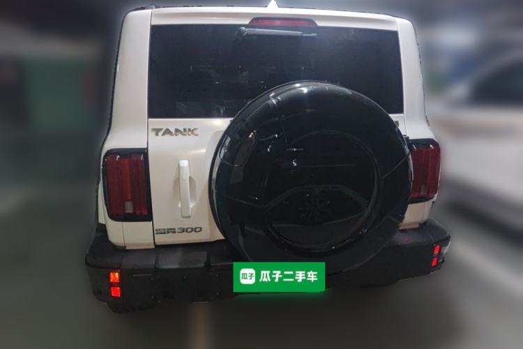 Used Tank 300 2021 City Edition 2.0T—Truly Stylish Rear