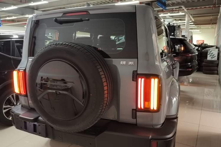 Used Tank 300 2021 City Edition 2.0T—Truly Stylish Rear