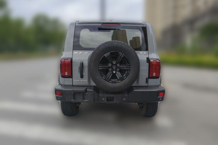 Used Tank 300 2021 2.0T Monet Tribute Limited Edition Rear