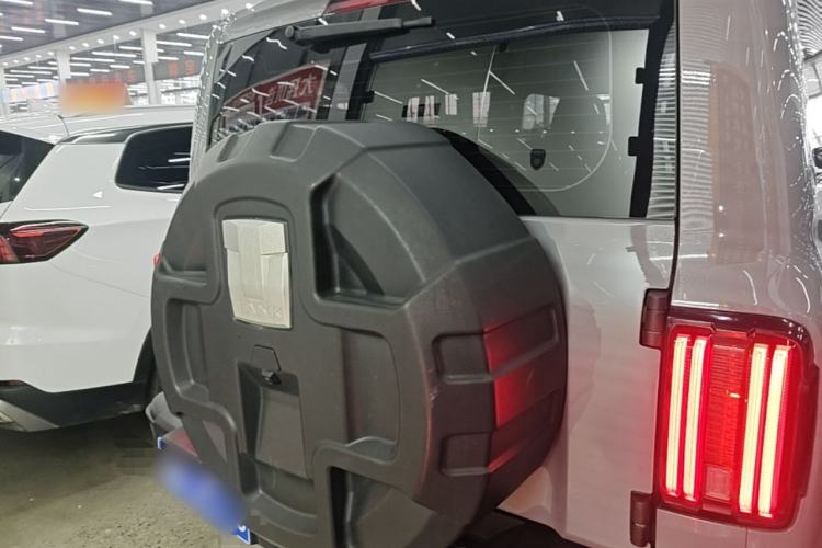 Used Tank 300 2021 City Edition 2.0T My Vision Model Rear