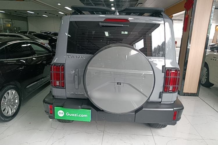 Used Tank 300 2021 City Edition 2.0T—Truly Stylish Rear