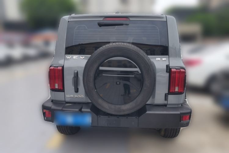 Used Tank 300 2021 Off-Road Edition 2.0T Conqueror Rear