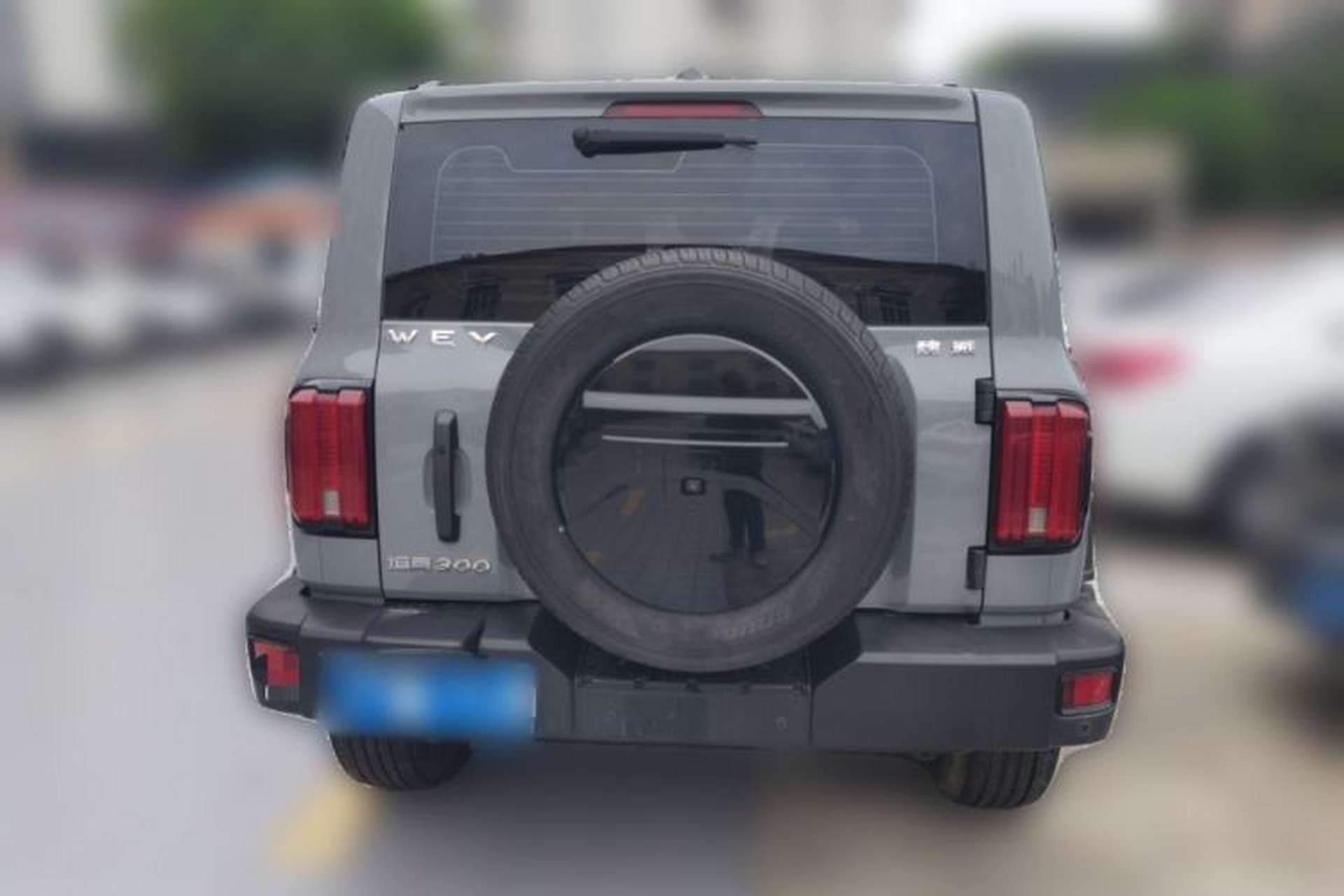 Used Tank 300 2021 Off-Road Edition 2.0T Conqueror Rear