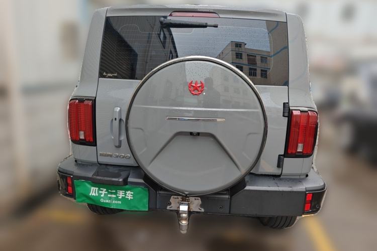 Used Tank 300 2021 City Edition 2.0T—Truly Stylish Rear