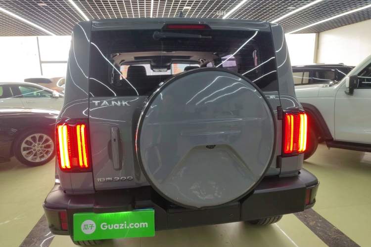 Used Tank 300 2021 City Edition 2.0T—Truly Stylish Rear