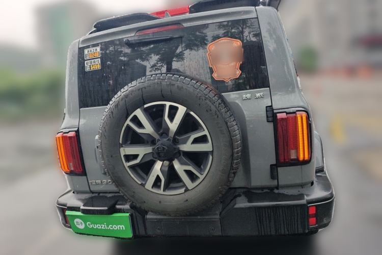 Used Tank 300 2021 City Edition 2.0T—Truly Stylish Rear