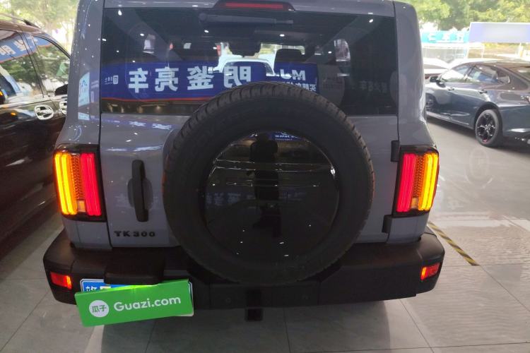 Used Tank 300 2021 Off-Road Edition 2.0T Conqueror Rear