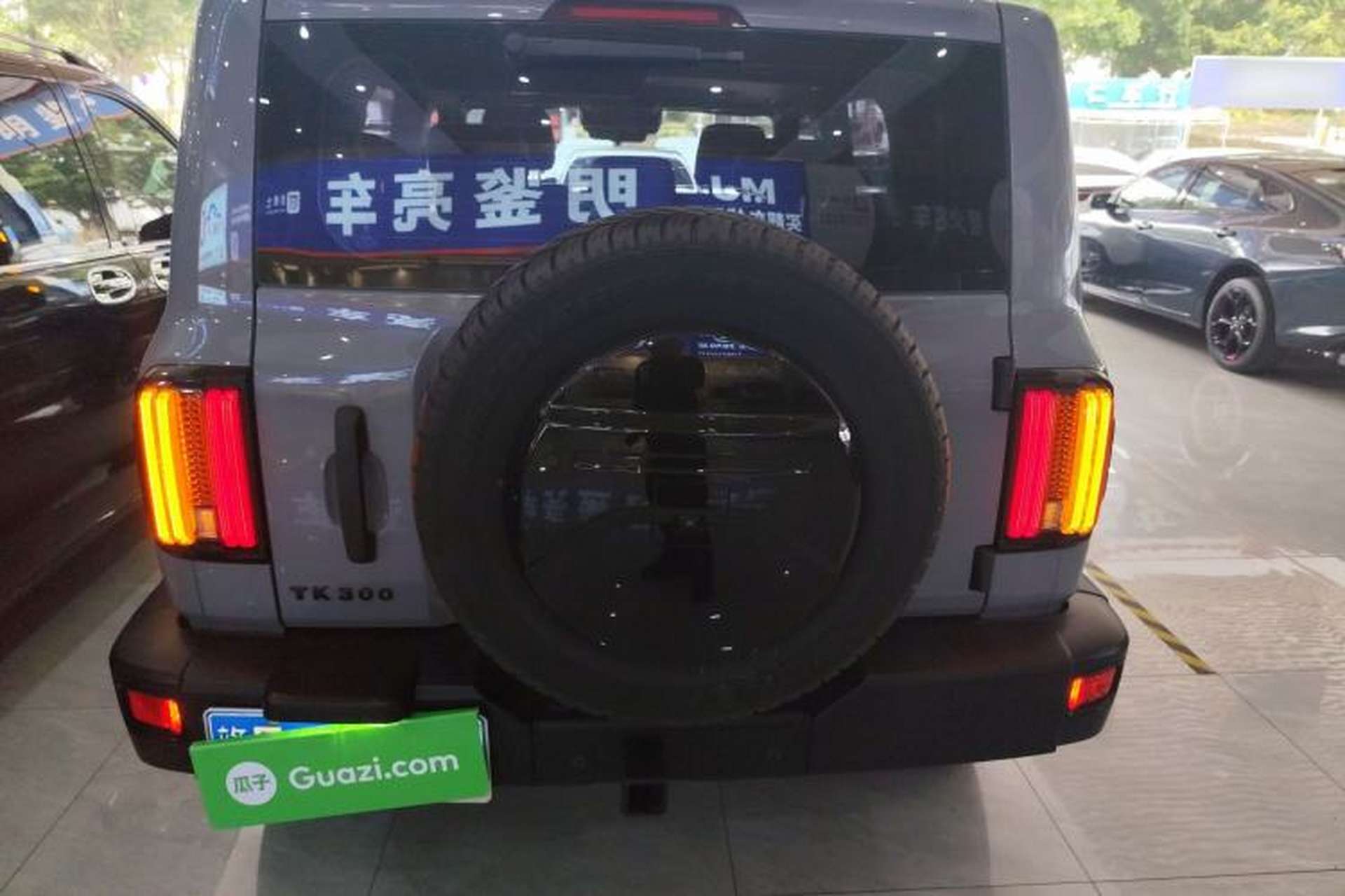 Used Tank 300 2021 Off-Road Edition 2.0T Conqueror Rear