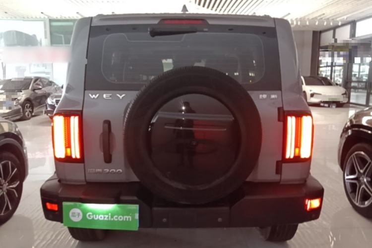 Used Tank 300 2021 Off-Road Edition 2.0T Conqueror Rear