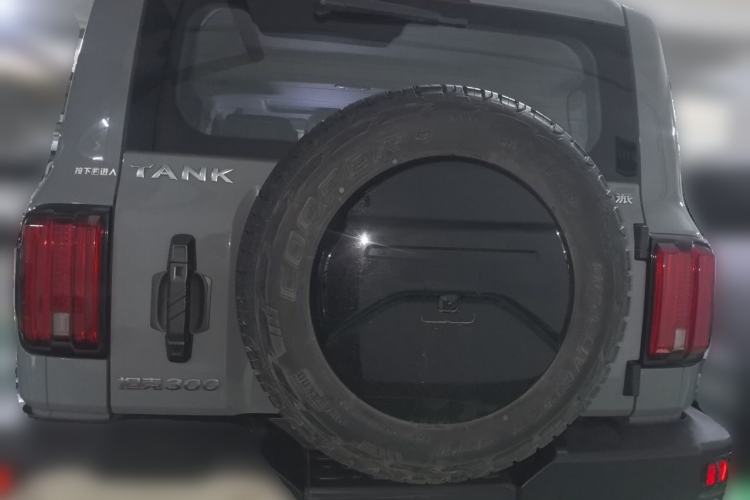 Used Tank 300 2021 Off-Road Edition 2.0T Conqueror Rear