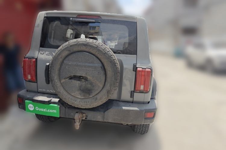 Used Tank 300 2021 Off-Road Edition 2.0T Conqueror Rear