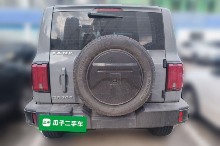 Used Tank 300 2021 City Edition 2.0T—Truly Stylish Rear