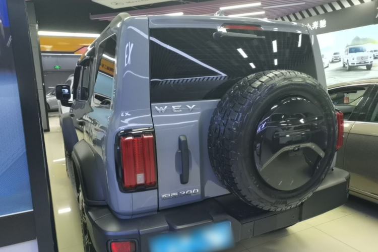 Used Tank 300 2021 Off-Road Edition 2.0T Conqueror Rear Left 45 Deg