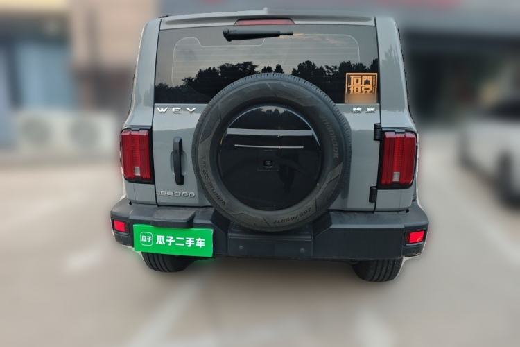Used Tank 300 2021 Off-Road Edition 2.0T Conqueror Rear