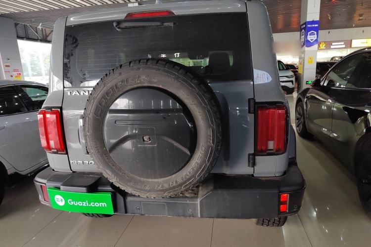 Used Tank 300 2021 City Edition 2.0T—Truly Stylish Rear