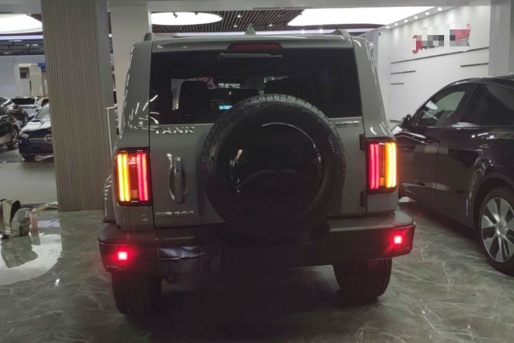 Used Tank 300 2021 City Edition 2.0T—Truly Stylish Rear