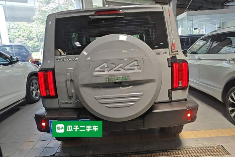 Used Tank 300 2021 City Edition 2.0T—Truly Stylish Rear