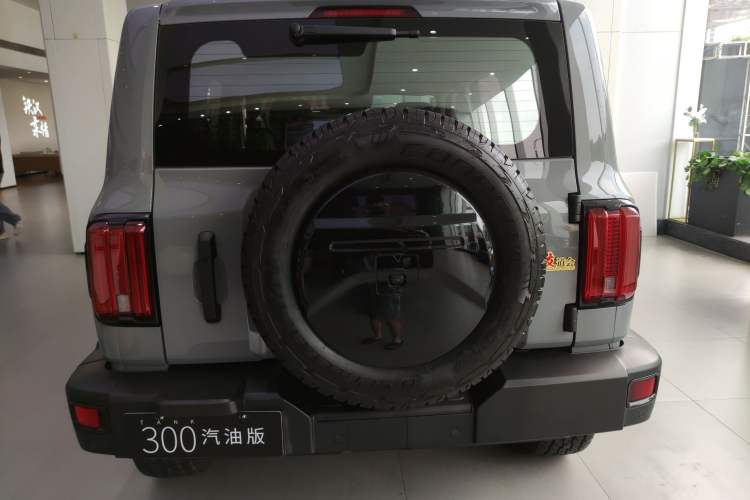Used Tank 300 2021 Off-Road Edition 2.0T Conqueror Rear