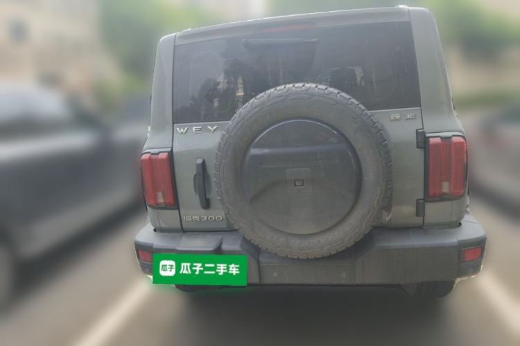 Used Tank 300 2021 Off-Road Edition 2.0T Conqueror Rear