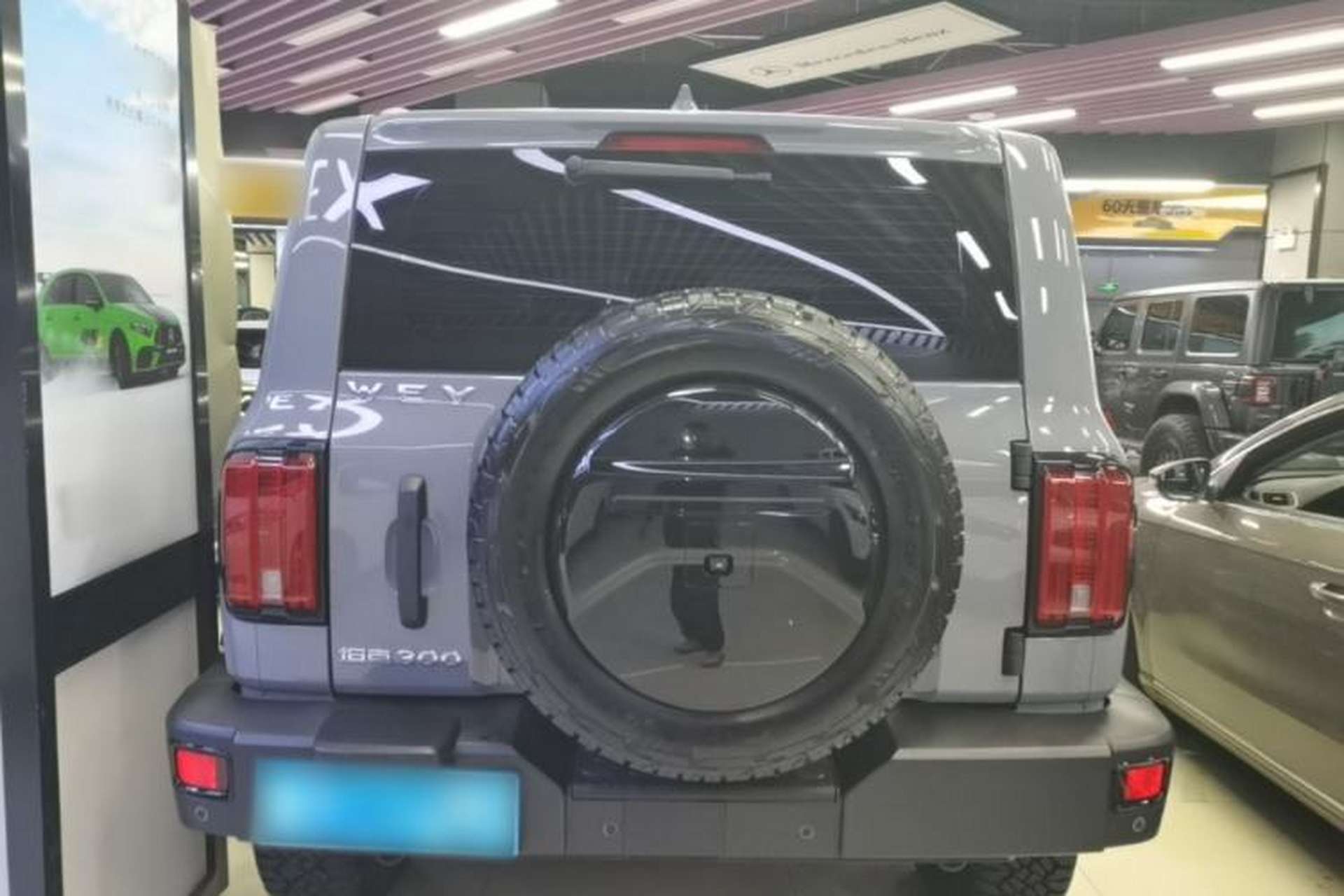 Used Tank 300 2021 Off-Road Edition 2.0T Conqueror Rear