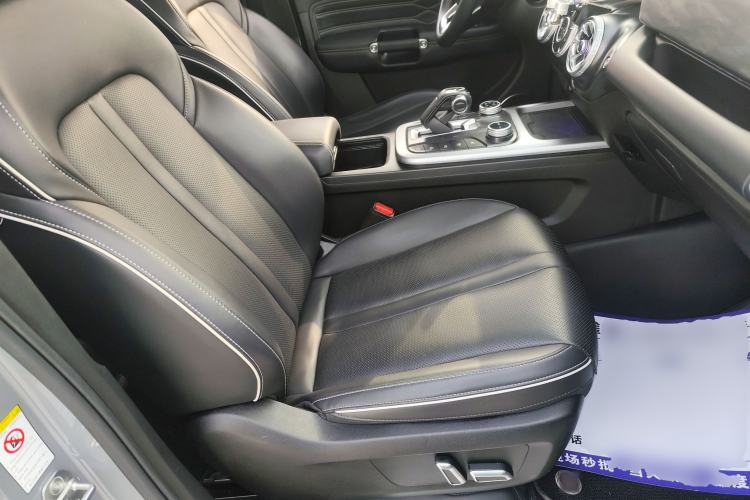Used Tank 300 2021 City Edition 2.0T—Truly Stylish Right Front Seat