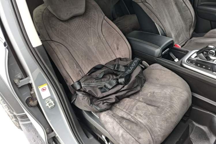 Used Tank 300 2021 Off-Road Edition 2.0T Conqueror Right Front Seat