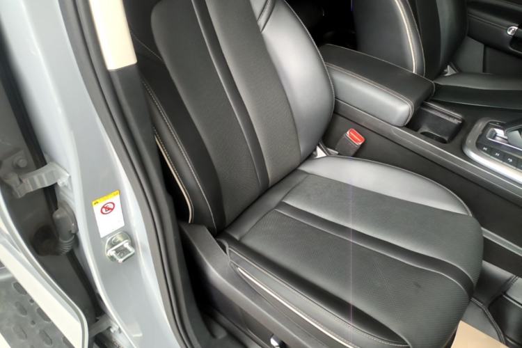 Used Tank 300 2021 Off-Road Edition 2.0T Conqueror Right Front Seat