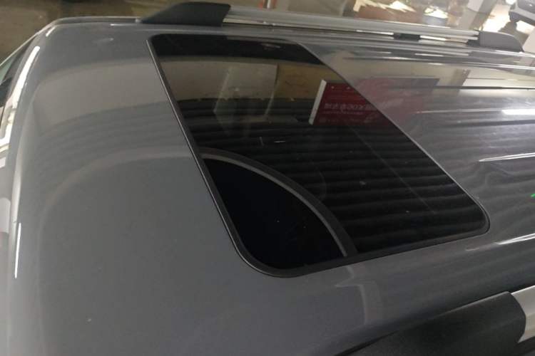Used Tank 300 2021 City Edition 2.0T—Truly Stylish Roof