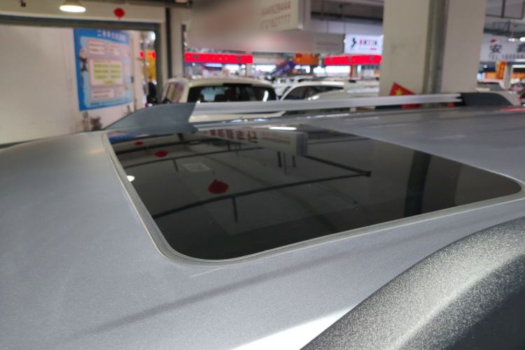 Used Tank 300 2021 City Edition 2.0T—Truly Stylish Roof