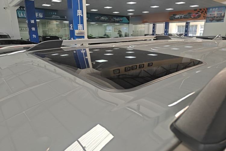 Used Tank 300 2021 City Edition 2.0T—Truly Stylish Roof