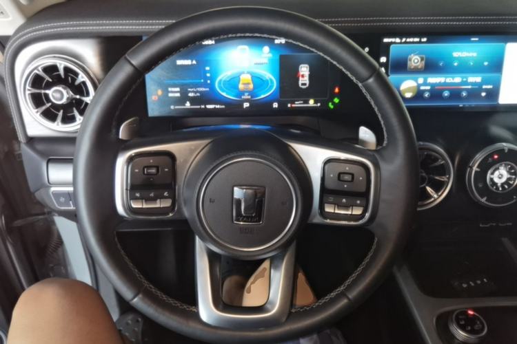 Used Tank 300 2021 City Edition 2.0T—Truly Stylish Steering Wheel
