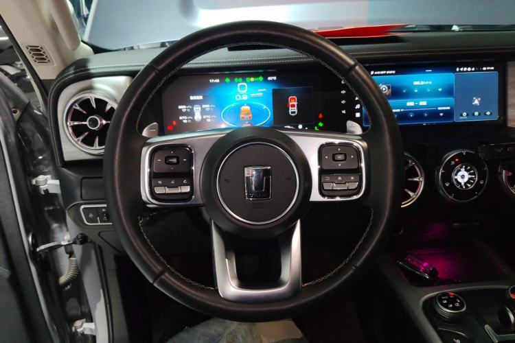 Used Tank 300 2021 City Edition 2.0T—Truly Stylish Steering Wheel
