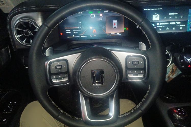 Used Tank 300 2021 Off-Road Edition 2.0T Conqueror Steering Wheel