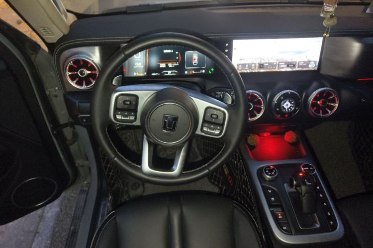 Used Tank 300 2021 City Edition 2.0T—Truly Stylish Steering Wheel