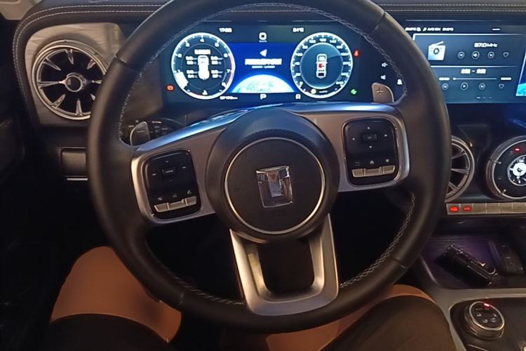 Used Tank 300 2021 City Edition 2.0T—Truly Stylish Steering Wheel