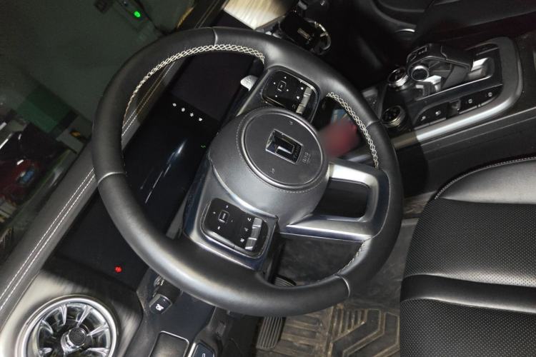 Used Tank 300 2021 City Edition 2.0T—Truly Stylish Steering Wheel