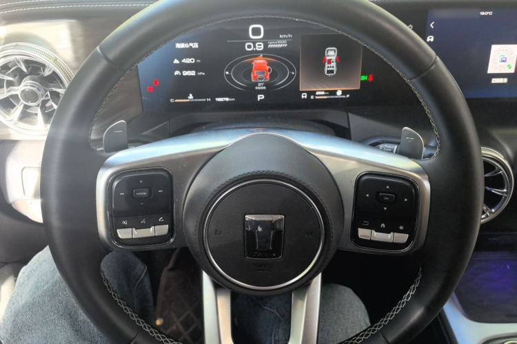 Used Tank 300 2021 Off-Road Edition 2.0T Challenger Steering Wheel