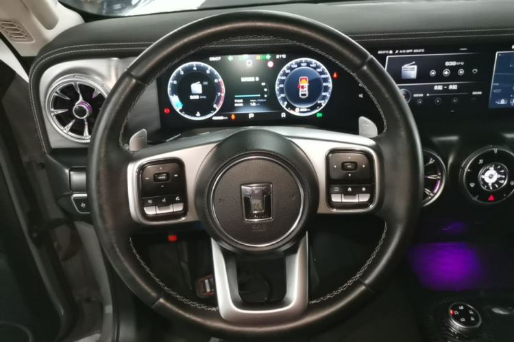 Used Tank 300 2021 Off-Road Edition 2.0T Conqueror Steering Wheel
