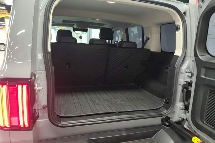 Used Tank 300 2021 City Edition 2.0T—Truly Stylish Trunk