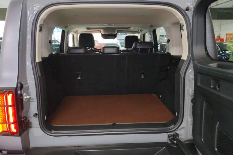 Used Tank 300 2021 City Edition 2.0T—Truly Stylish Trunk