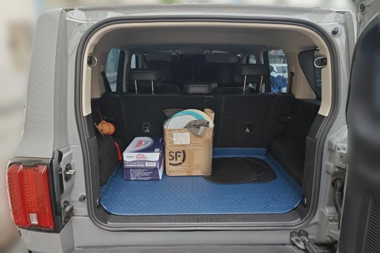 Used Tank 300 2021 City Edition 2.0T—Truly Stylish Trunk
