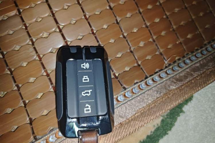 Used Tank 300 2021 Off-Road Edition 2.0T Conqueror Vehicle Key