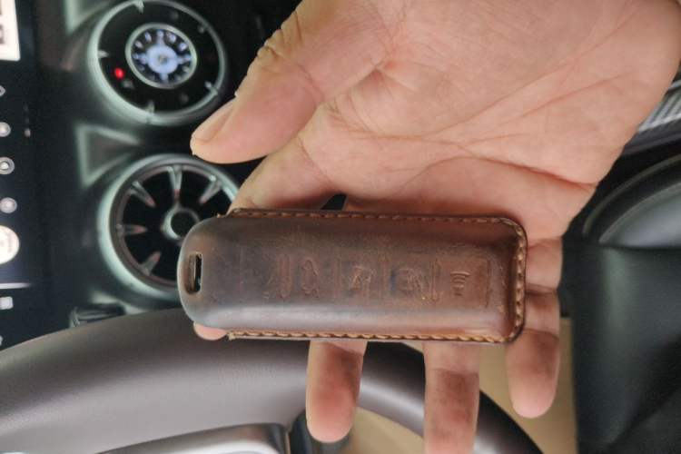 Used Tank 300 2021 2.0T Monet Tribute Limited Edition Vehicle Key