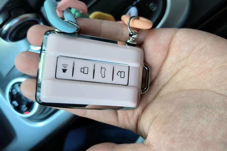 Used Tank 300 2021 Off-Road Edition 2.0T Conqueror Vehicle Key