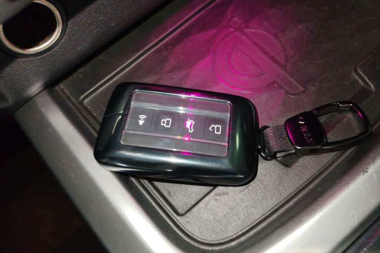 Used Tank 300 2021 City Edition 2.0T—Truly Stylish Vehicle Key