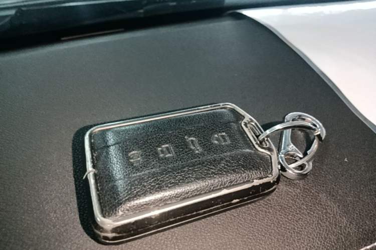 Used Tank 300 2021 City Edition 2.0T—Truly Stylish Vehicle Key