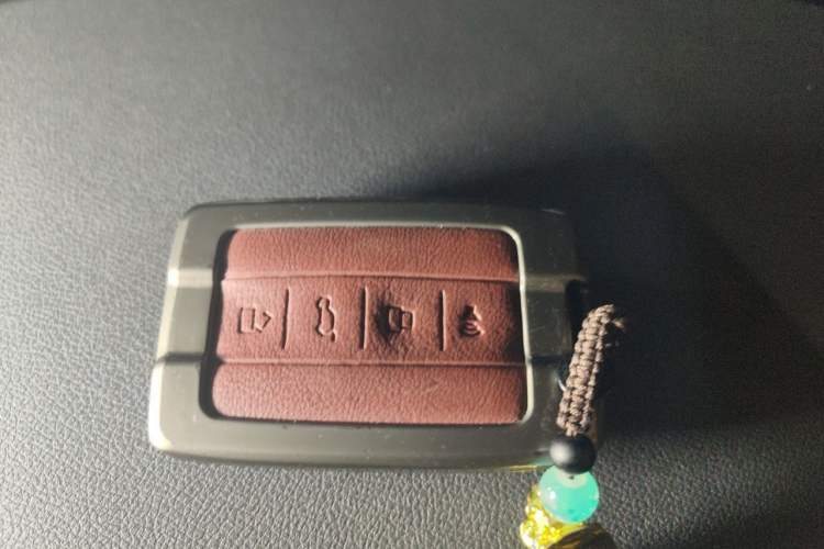Used Tank 300 2021 Off-Road Edition 2.0T Conqueror Vehicle Key